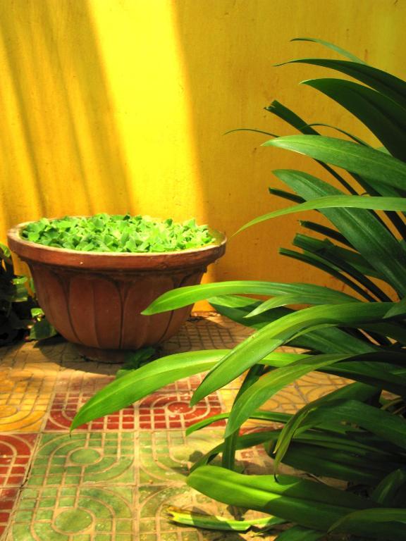 Firefly Guesthouse - The Berlin Angkor Сиемрип Экстерьер фото